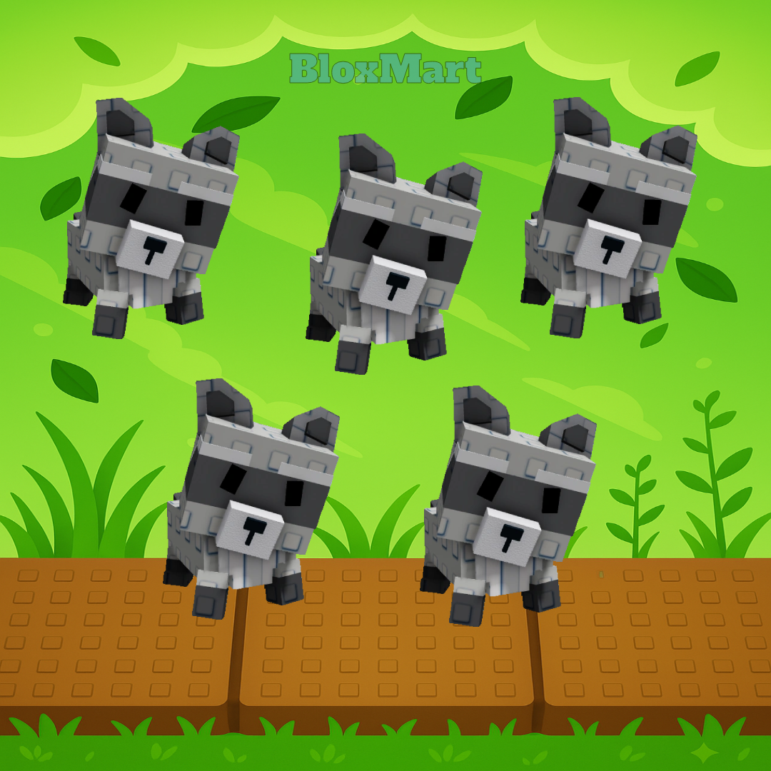 5 Raccoon Bundle