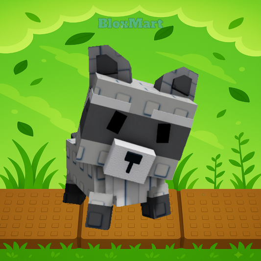 Raccoon